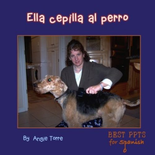 Spanish Reflexive Verbs PowerPoint & Interactive Notebook Activities