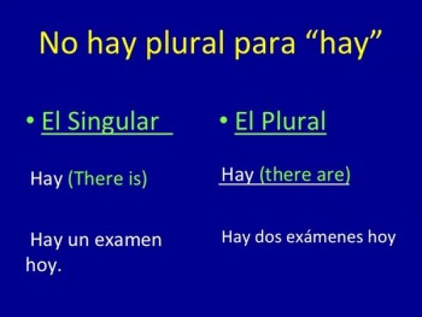 Spanish Plurals Los plurales PowerPoint and Interactive Notebook Activity - Image 4