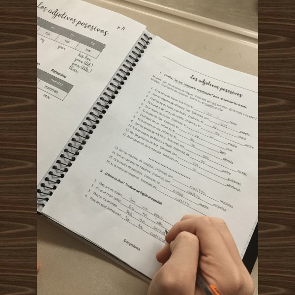Spanish Possessive Adjectives Interactive Notebook Activity - Image 2