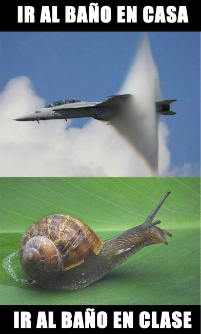 iriralbano iriralbano