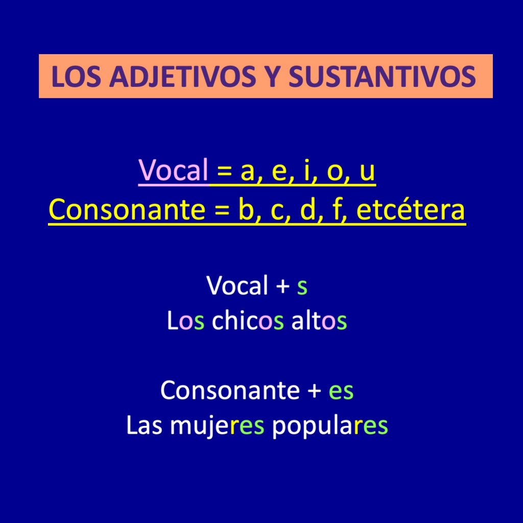 Spanish Verb SER Adjectives and Plurals Lesson Plans and Curriculum