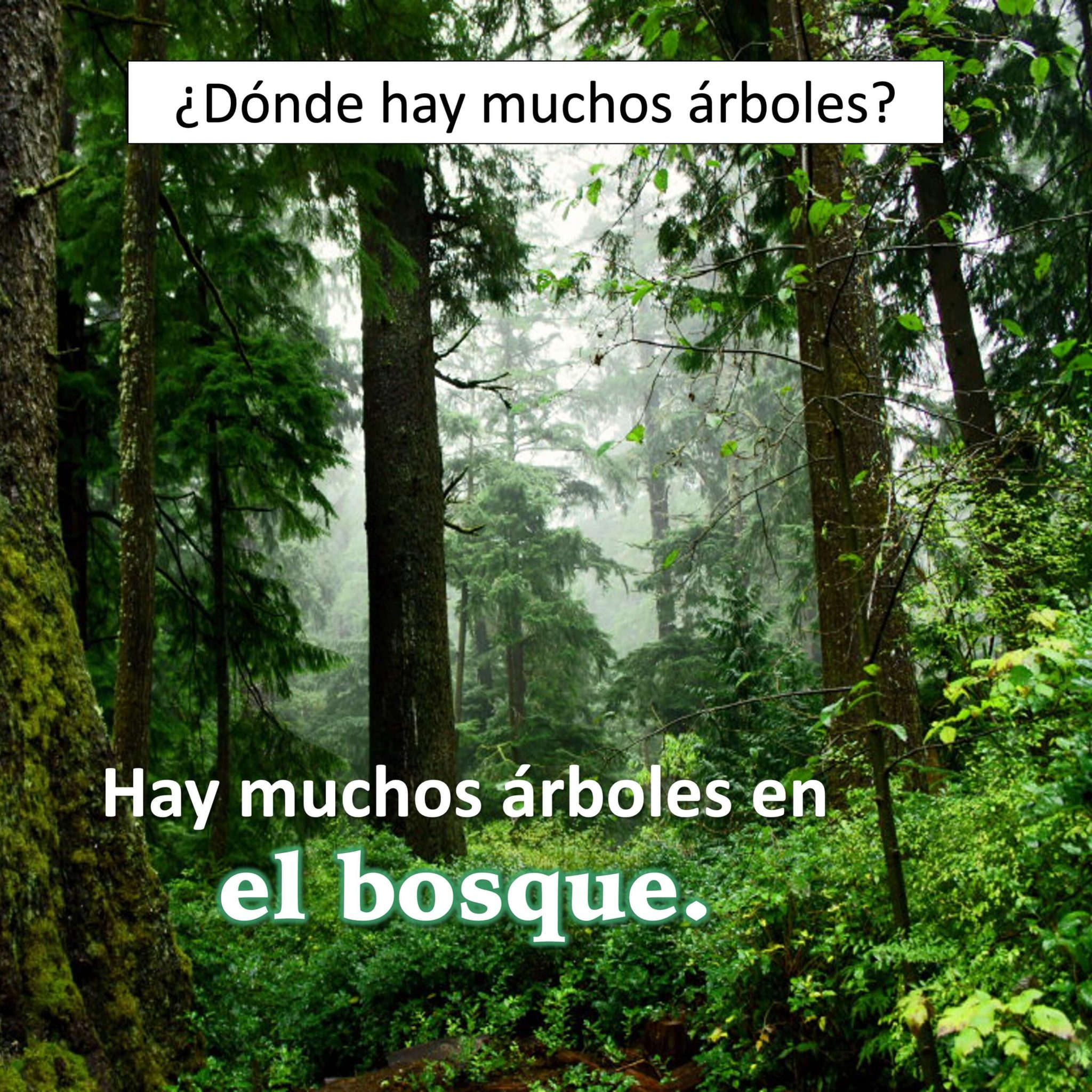 Ten Strategies to Use INSTEAD of Translation