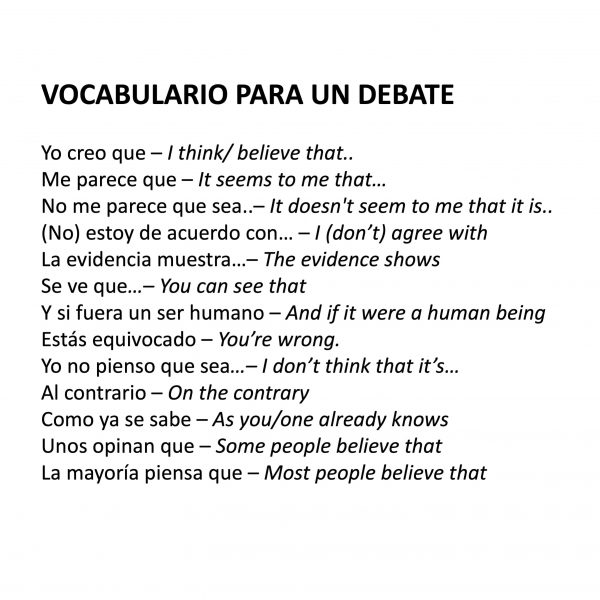 Spanish Debate Group Speaking Activity and Rubric - Image 2